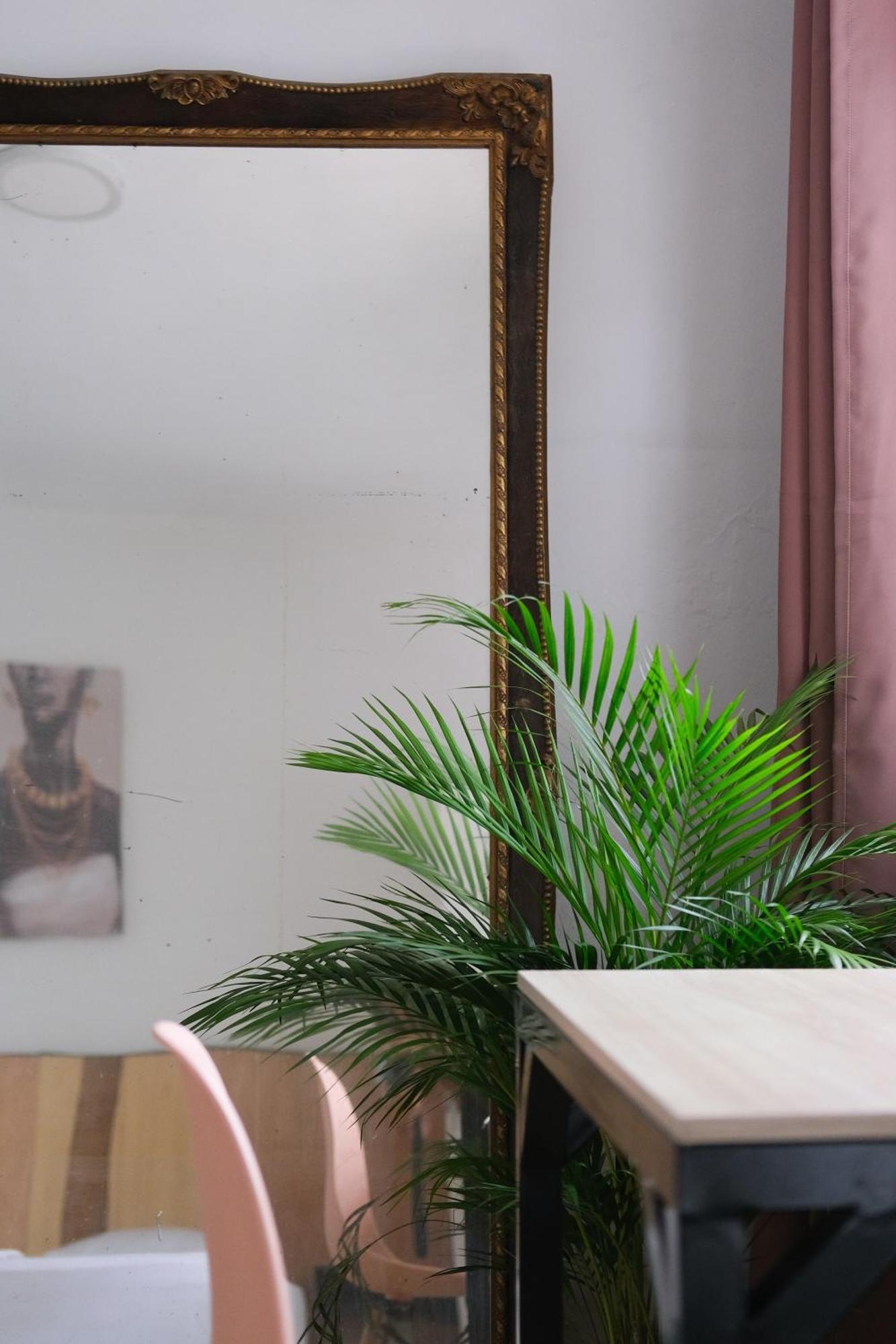 La Palmera Hostel Cali Dış mekan fotoğraf